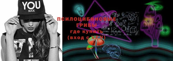 apvp Алексин