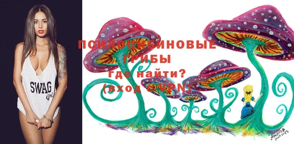 apvp Алексин