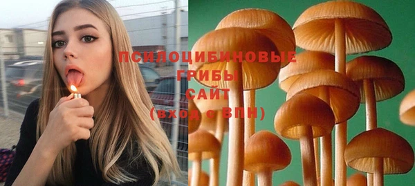 apvp Алексин